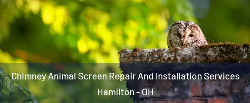  Chimney Animal Screen Repair And Installation Services Hamilton - OH