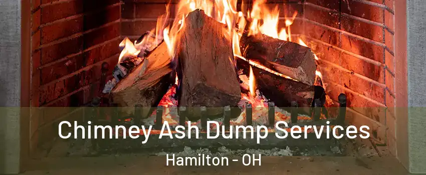  Chimney Ash Dump Services Hamilton - OH