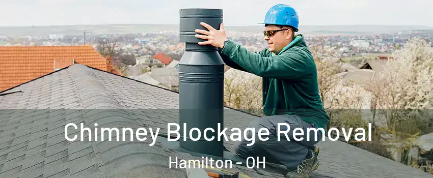  Chimney Blockage Removal Hamilton - OH