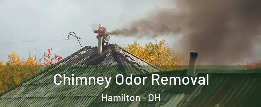  Chimney Odor Removal Hamilton - OH