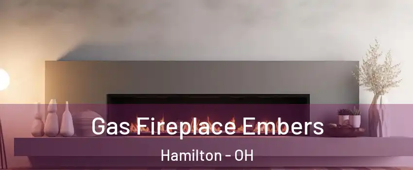  Gas Fireplace Embers Hamilton - OH