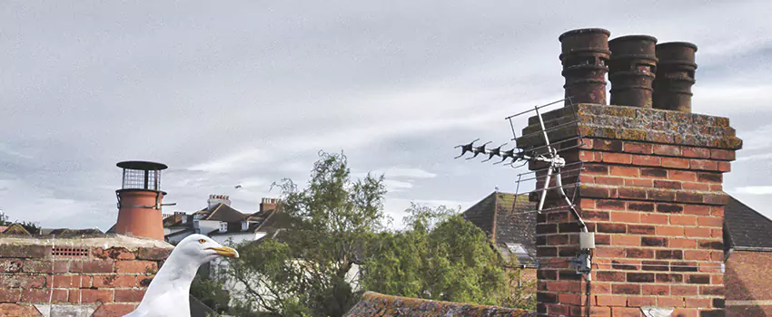 Chimney Cleaning And Restoration in Hamilton, Ohio