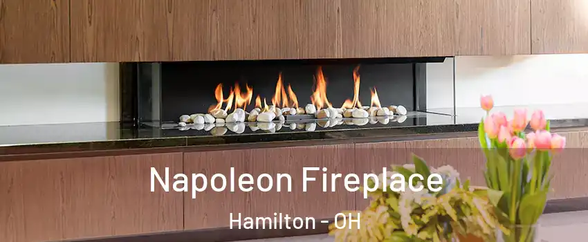  Napoleon Fireplace Hamilton - OH